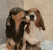 Проявление заботы