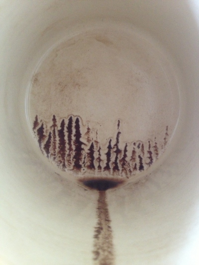 Кофейный лес в чашке 