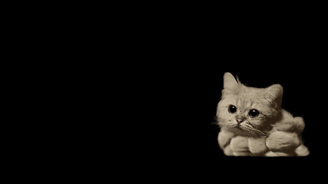 Кошачьи гифки 