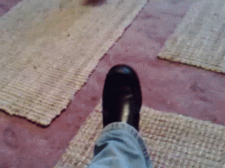 Кошачьи гифки 