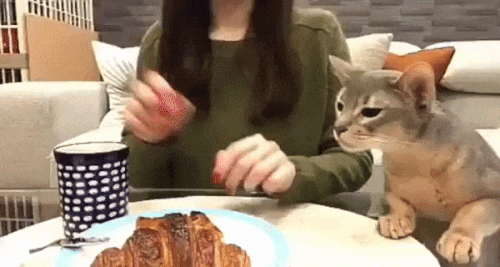 Хочется сладенького