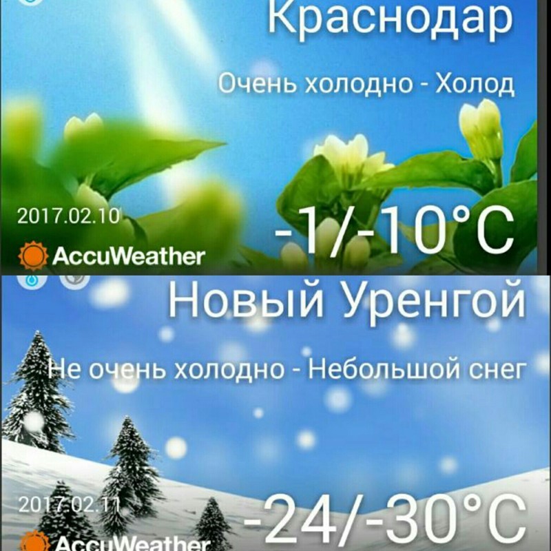 Холодно 2017