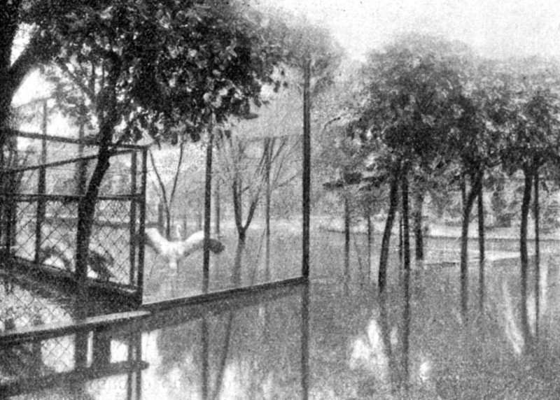 Затопленный сад, 1913 год