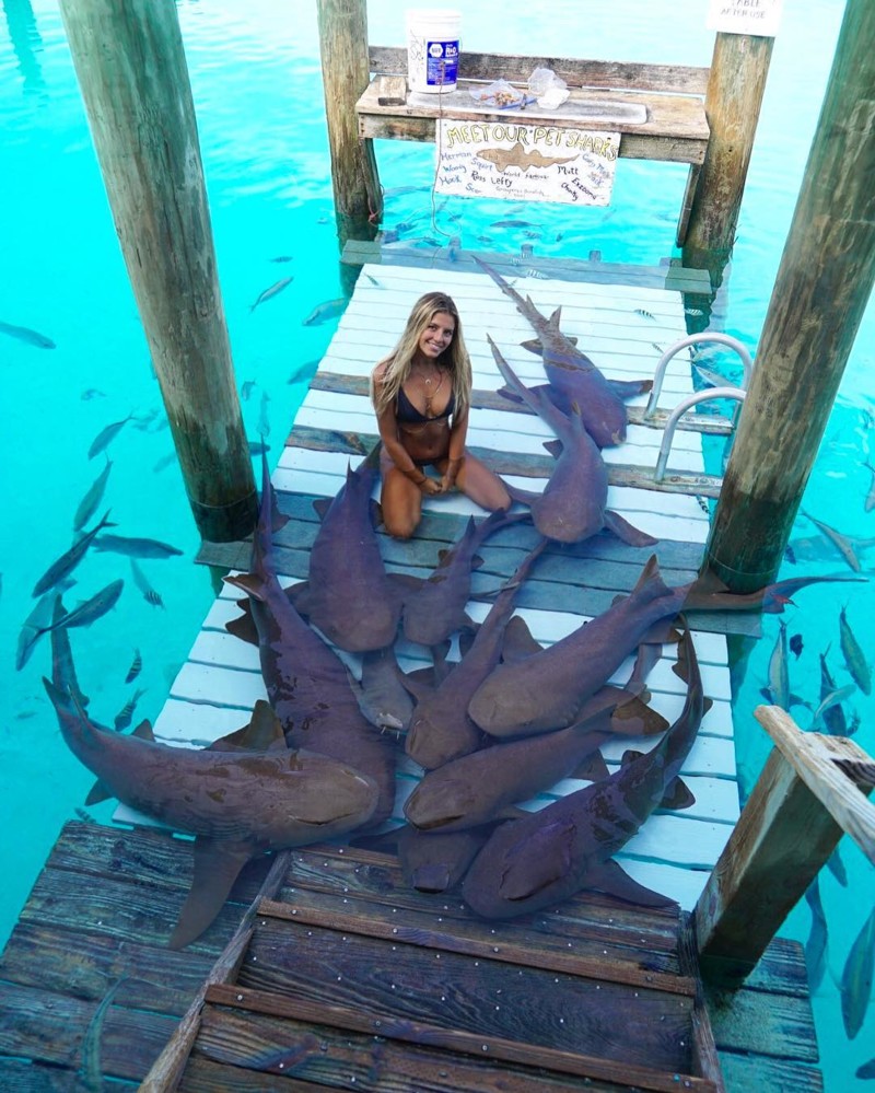 Студентка юрфака путешествует по самым экзотическим местам, фотографируясь с акулами