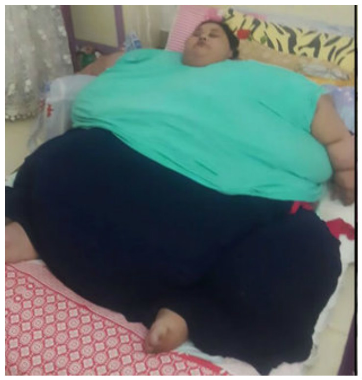 Толстая женщина и худой: 607 видео в HD