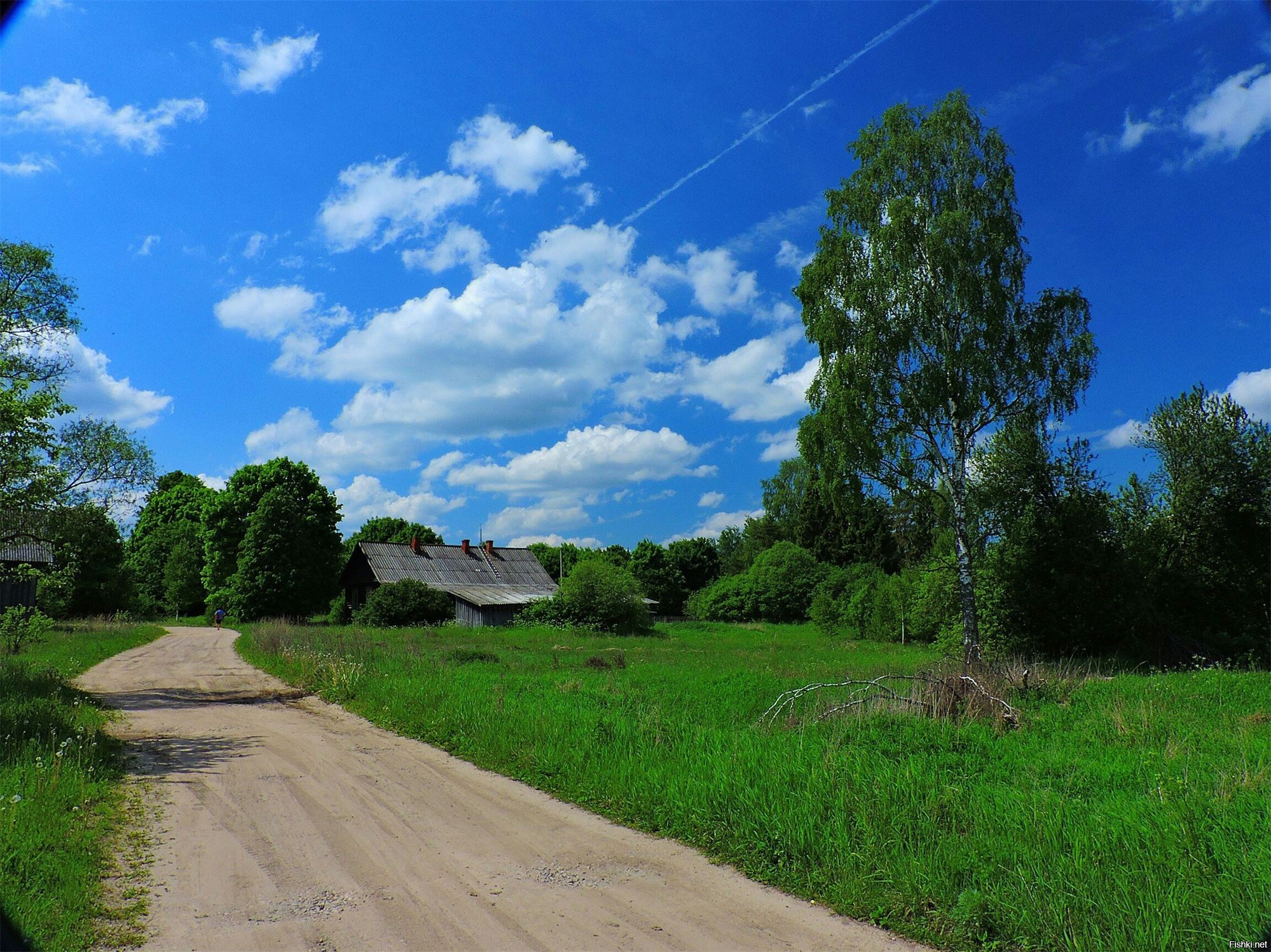 Деревня Цепляевка Калужской области