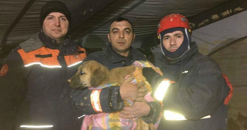 Турецкие спасатели 10 дней доставали щенка из колодца