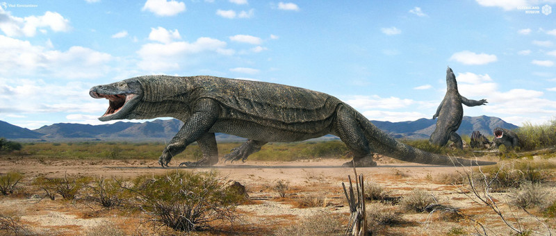 Самая гигантская ящерица в мире, которая не пережила встречи с первыми людьми