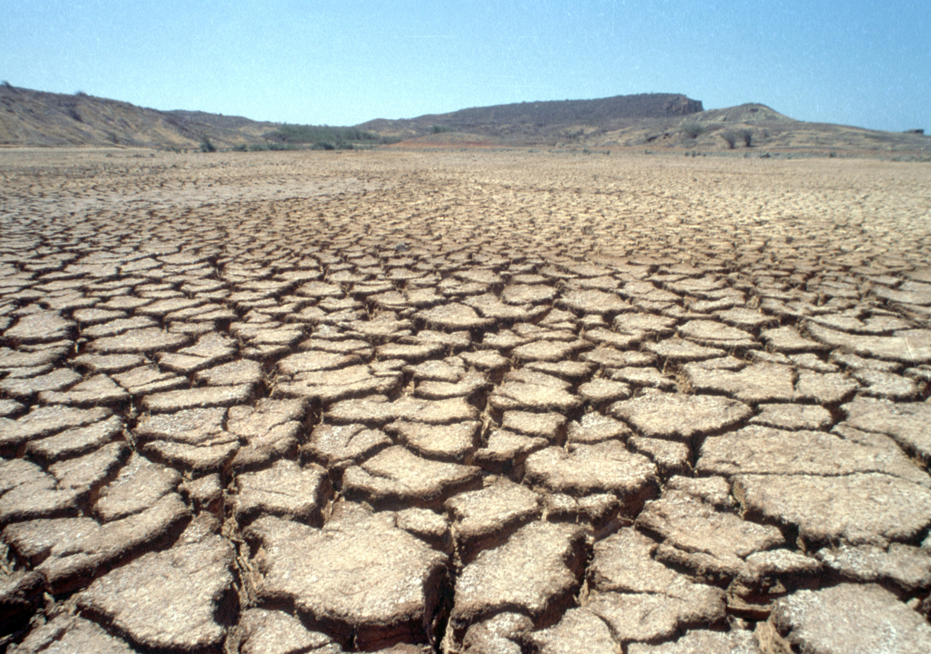 Деградация почв, эрозия, опустынивание