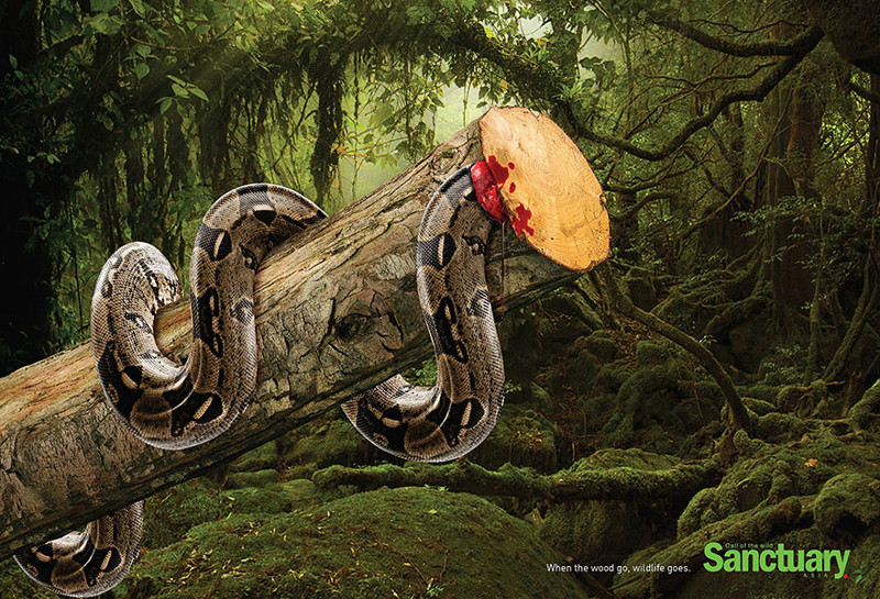 На этих изображениях затронута тема вырубки лесов. Шокирующая реклама креативного директора Ганеша Прасада Ачаря. 