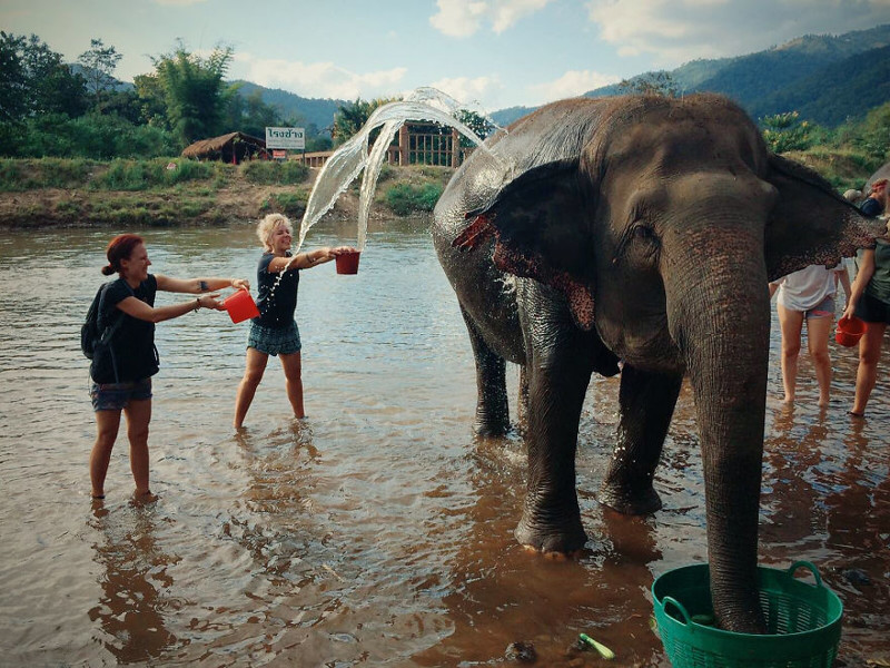 Больше всего нам нравилось помогать слонам принимать дневной душ в речке.