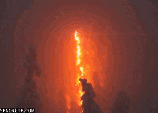 Гифки Гифки