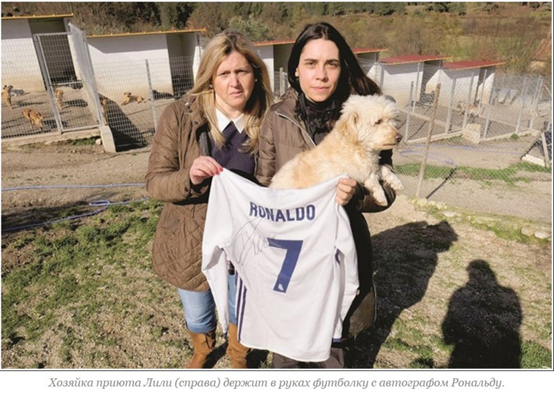 Простой жест щедрости: Как Криштиану Рональду помог выжить 80 собакам