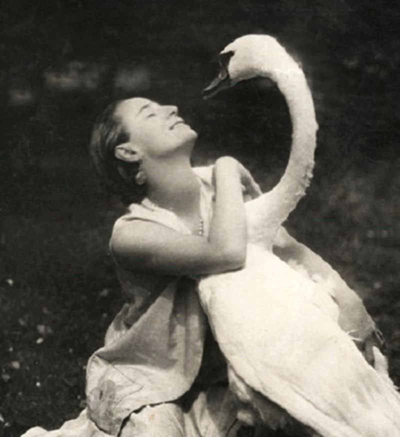 Anna Pavlova и ее лебедь