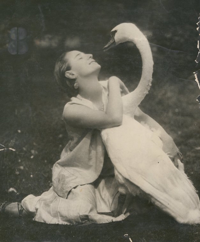 Анна павлова фото с лебедем