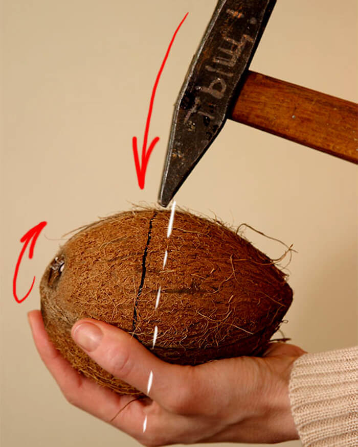 Разделать под орех. Мякоть кокоса. Кокос в домашних условиях. Как открыть Кокос. Молоток для кокоса.