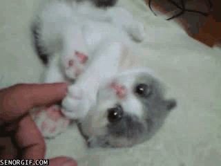 Гифки Гифки