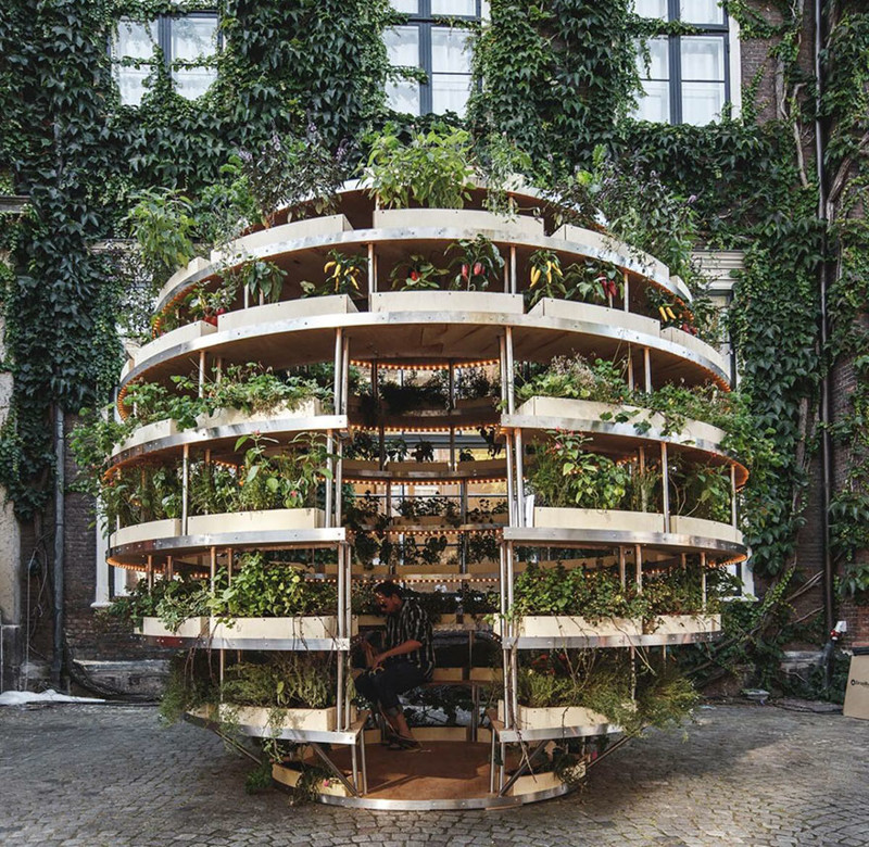 «Зелёная комната»: дизайн вертикального сада при поддержке IKEA