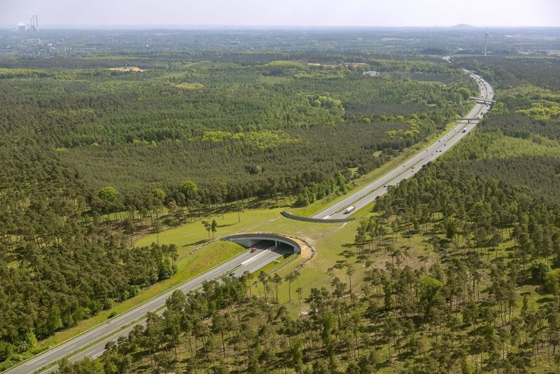 7. Зеленый мост для живой природы над автобаном, Германия