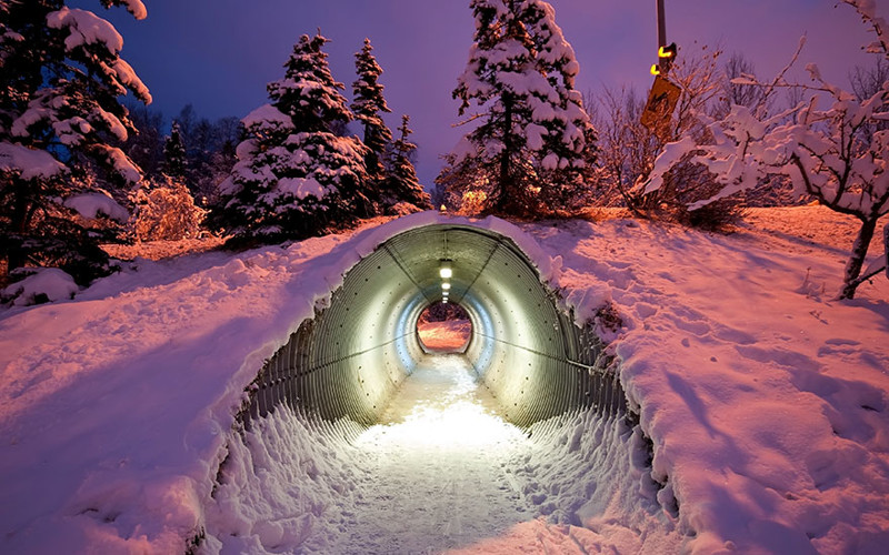 21. Туннель для животных под хайвеем, Финляндия