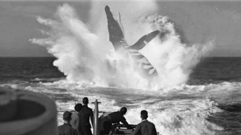 Монстр, увиденный экипажем подводной лодки U-28