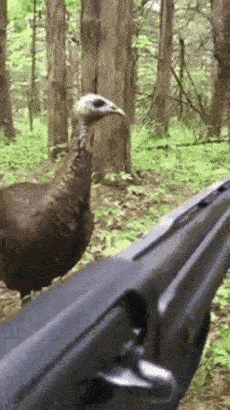 На кого охотишься?