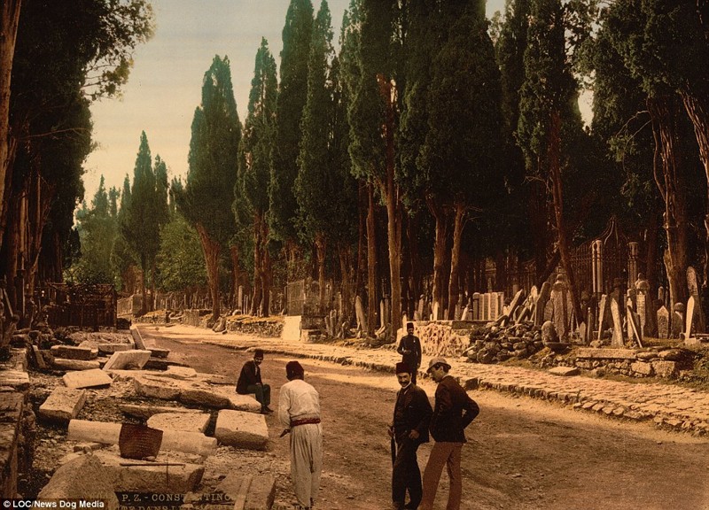 Кипарисы и дорога, ведущая к кладбищу, район Скутари, Константинополь 