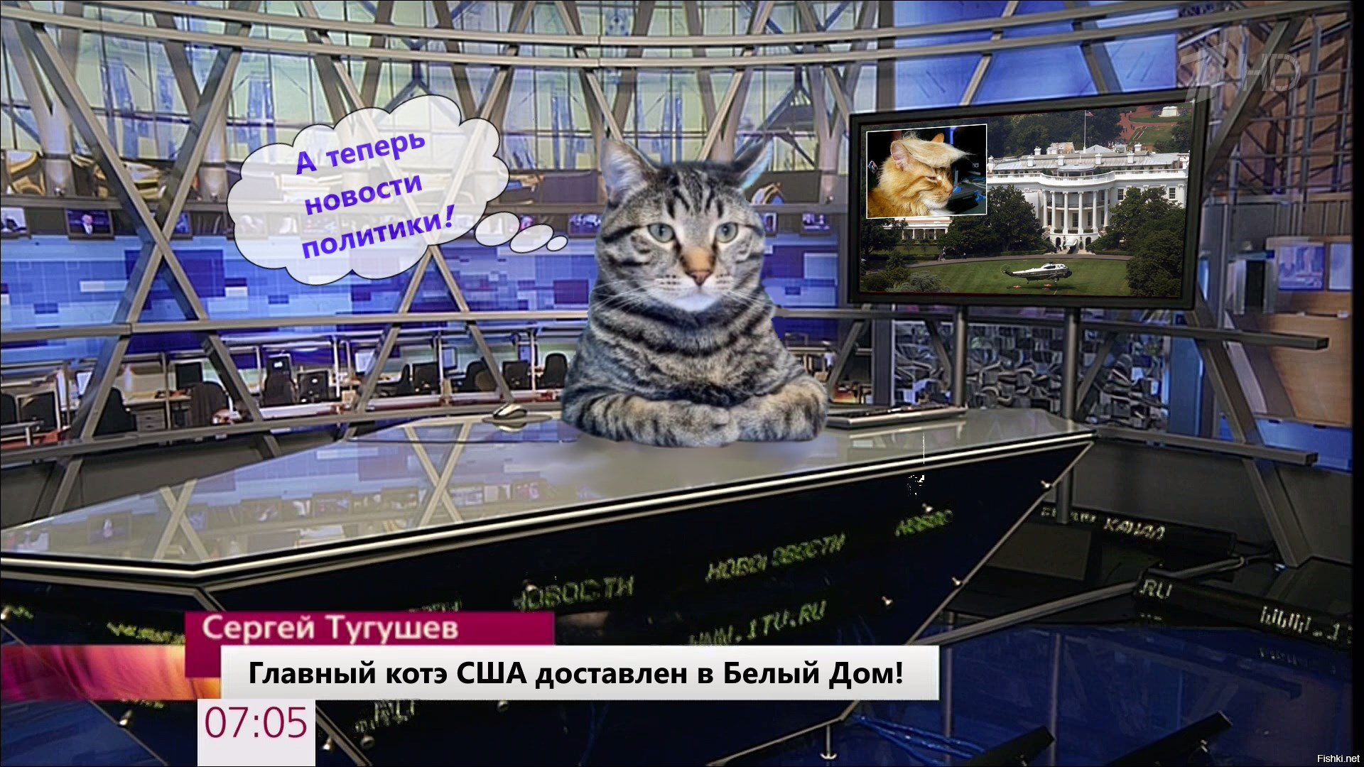 Включи главный завтра