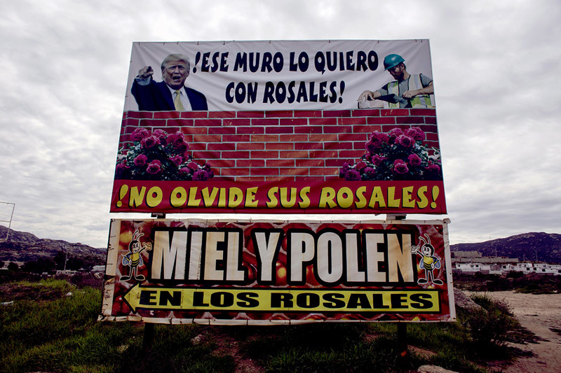 Рекламный баннер местной фирмы: образ Трампа помогает в продвижении услуг на северо-западе Мексики.