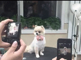 Фотогеничность - это надо учиться