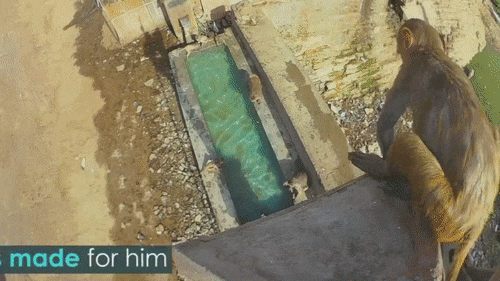 Немного гифок