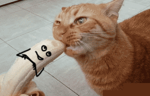 Немного гифок