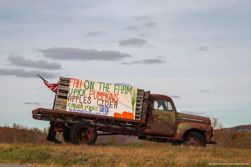 Старый грузовичок ставший рекламной вывеской на одной из ферм в штате Нью-Йорк. Марку и модель не определил.