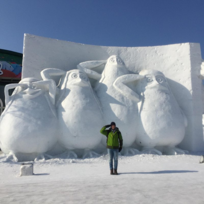 Пингвины из снега 