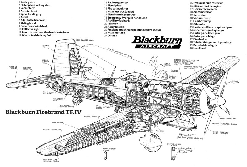 Blackburn B.37«Firebrand», огромный и бесполезный