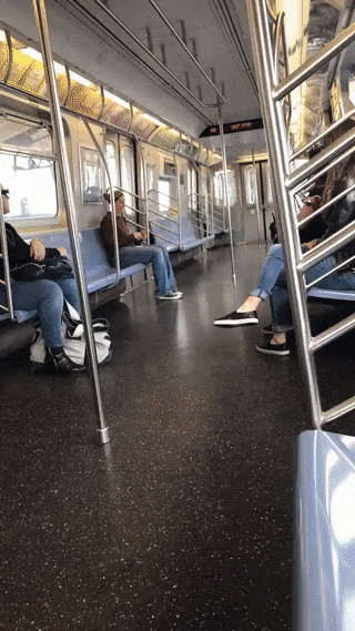 Четвероногий пассажир