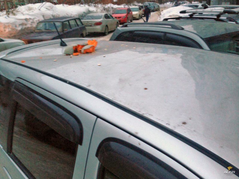 В Новосибирске на припаркованный автомобиль сбросили тыкву