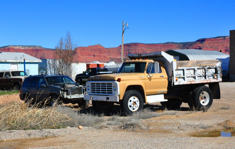 Могучий Ford F700 даже в 40 лет и даже на свалке не теряет мускулистый стати. Такого быка даже могила не исправит