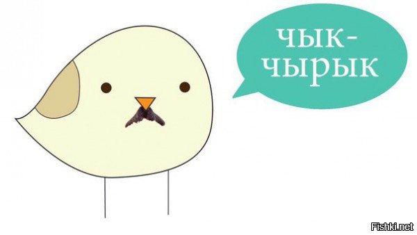 Из солянки