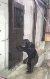 Когда хочешь в туалет, а там уже кто-то сидит