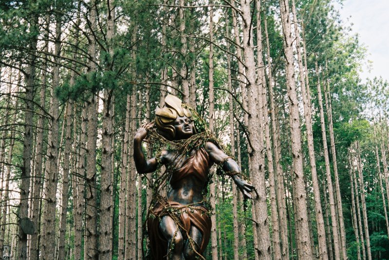 Богиня леса 