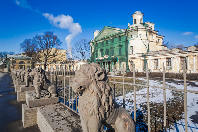 Теперь здесь плачут львы