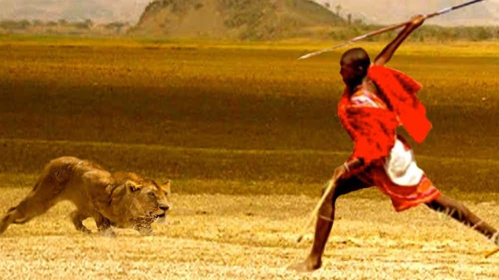 племя масаи охота на львов
