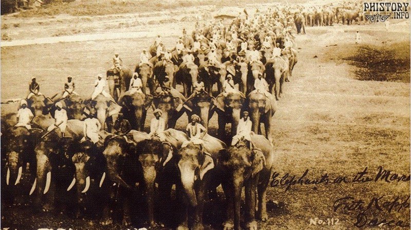 Парад слонов в Дакке, Бенгалия, Британская Индия, 1900 год.