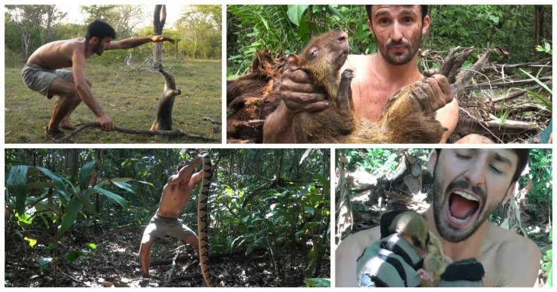 Этот парень умудрился достать всех животных в джунглях!