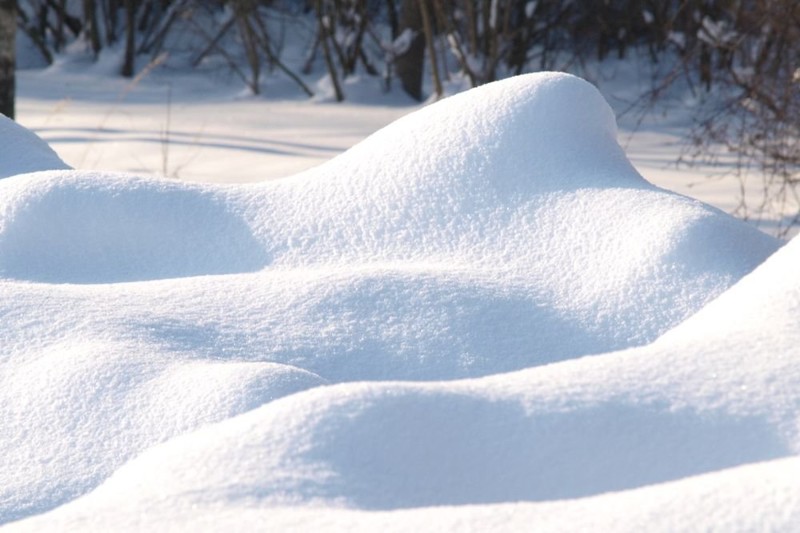 20 любопытных фактов о снеге