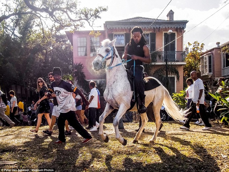 Мужчина на лошади во время парада в Новом Орлеане, Луизиана, 2012 год