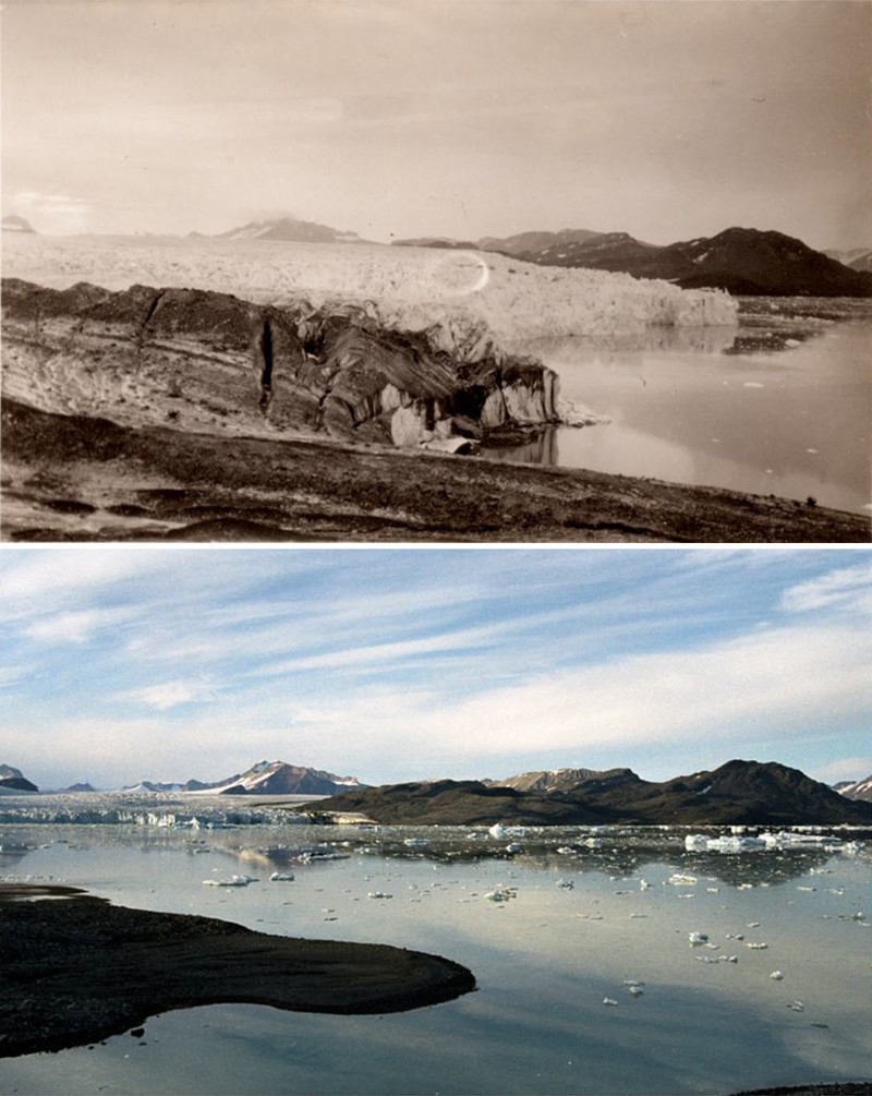 7 шокирующих фотографий, которые показывают, как изменение климата сказалось на арктических ледниках