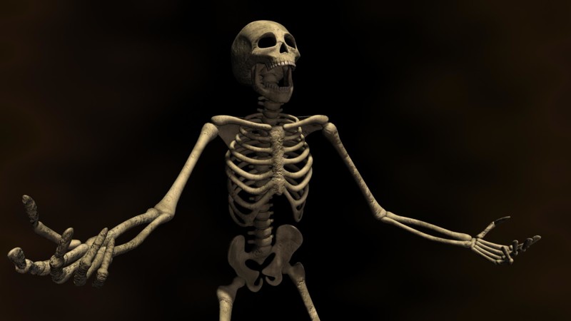 Еще один интересный факт о человеческом теле: мы рождаемся с 350 костями, затем некоторые кости срастаются, у взрослого человека их 206.