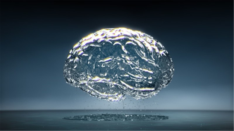 80% мозга – вода.